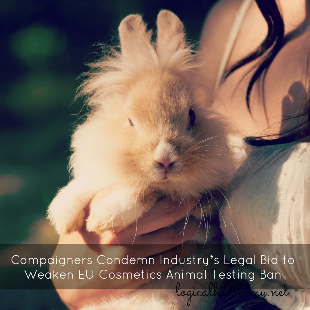Campaigners Condemn Industry’s Legal Bid to Weaken EU Cosmetics Animal Testing Ban