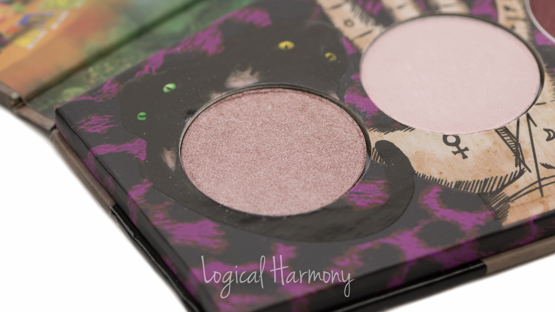 Lunatick Cosmetic Labs Supernatural Palette Swatches & Review